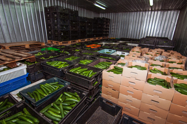 The existing agricultural complex in Kherson